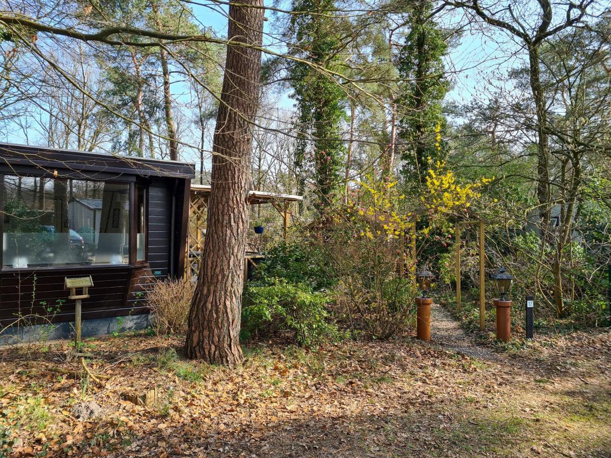 Villa Chalet Boslust IJhorst Exterior foto